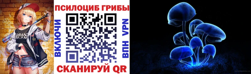 Псилоцибиновые грибы мухоморы  купить  цена  Тавда 