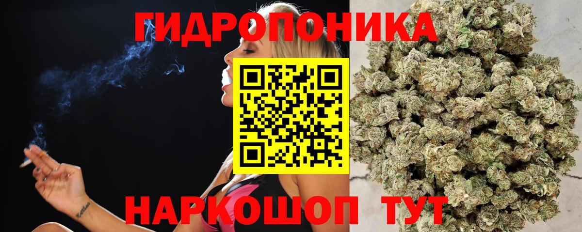 Канабис гибрид  Бошки Шишки VHQ  Вход с VPN  Тавда  Бошки марихуана марихуана  Бошки марихуана тримм 